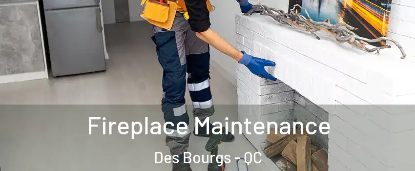  Fireplace Maintenance Des Bourgs - QC