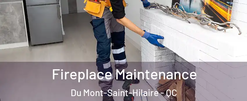  Fireplace Maintenance Du Mont-Saint-Hilaire - QC