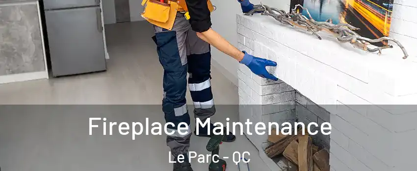  Fireplace Maintenance Le Parc - QC