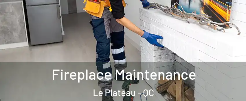  Fireplace Maintenance Le Plateau - QC