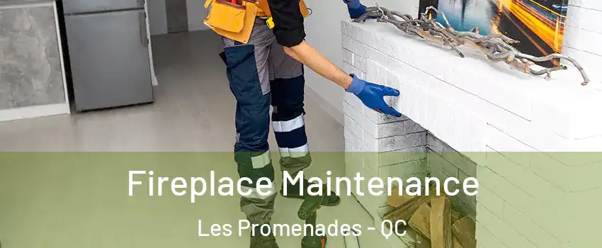  Fireplace Maintenance Les Promenades - QC