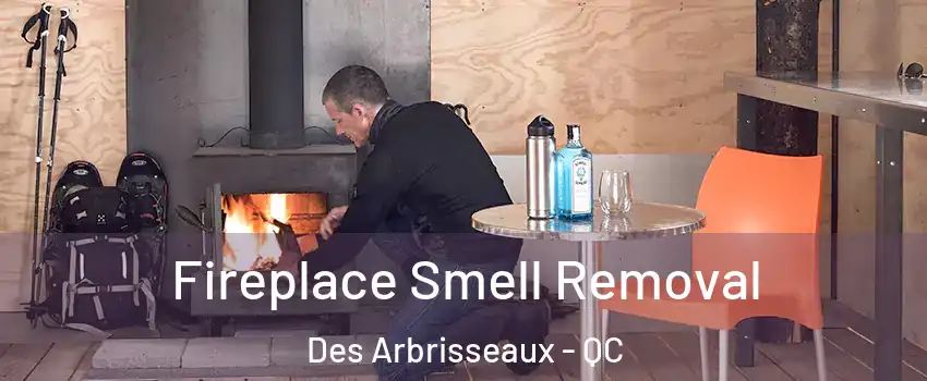  Fireplace Smell Removal Des Arbrisseaux - QC