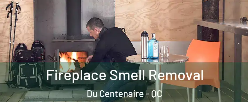  Fireplace Smell Removal Du Centenaire - QC
