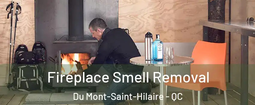  Fireplace Smell Removal Du Mont-Saint-Hilaire - QC
