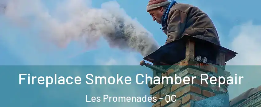  Fireplace Smoke Chamber Repair Les Promenades - QC