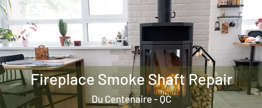  Fireplace Smoke Shaft Repair Du Centenaire - QC