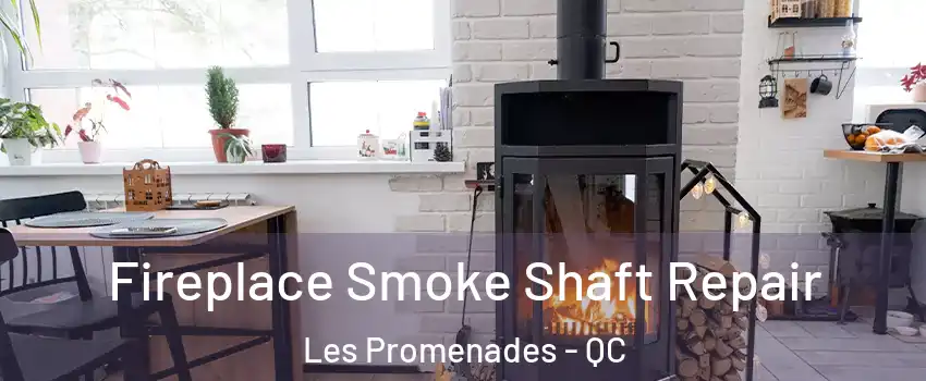  Fireplace Smoke Shaft Repair Les Promenades - QC