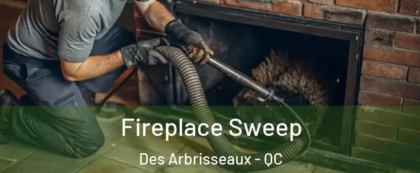  Fireplace Sweep Des Arbrisseaux - QC