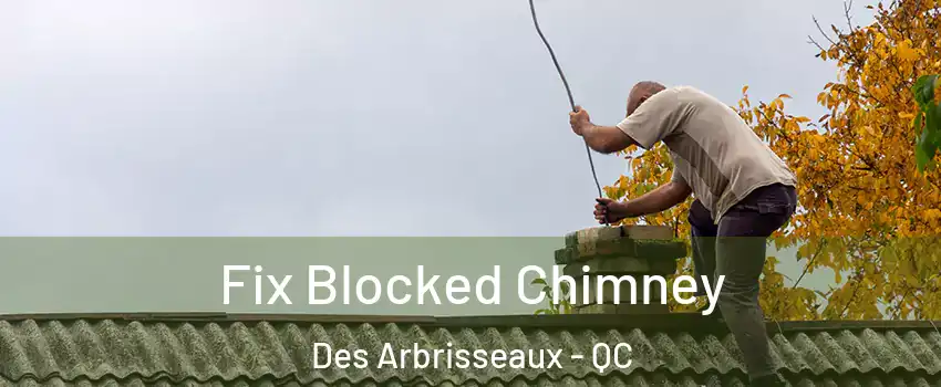  Fix Blocked Chimney Des Arbrisseaux - QC