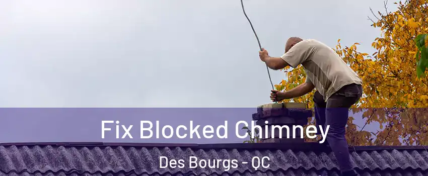  Fix Blocked Chimney Des Bourgs - QC