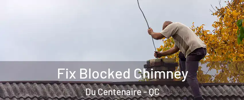 Fix Blocked Chimney Du Centenaire - QC
