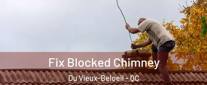 Fix Blocked Chimney Du Vieux-Beloeil - QC