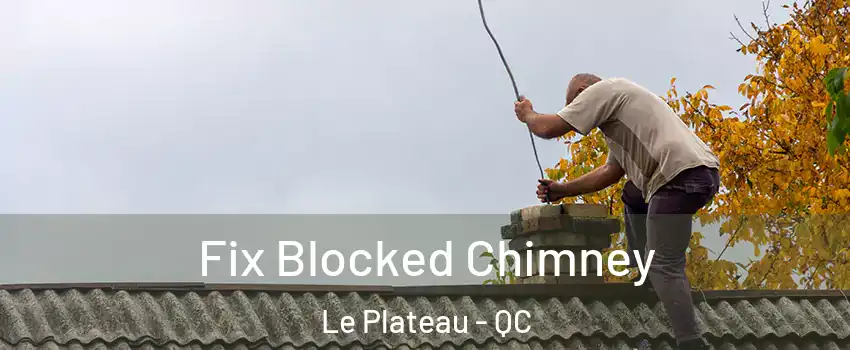  Fix Blocked Chimney Le Plateau - QC