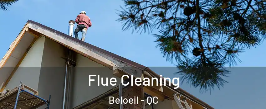  Flue Cleaning Beloeil - QC
