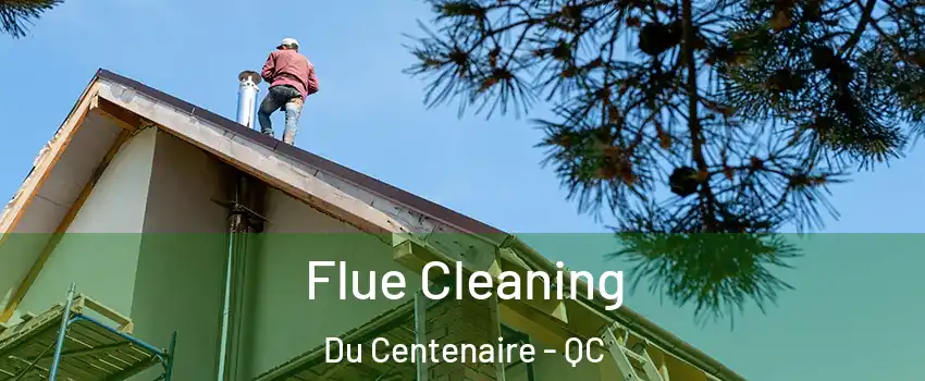  Flue Cleaning Du Centenaire - QC