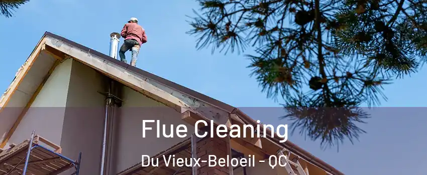  Flue Cleaning Du Vieux-Beloeil - QC