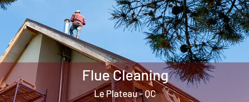  Flue Cleaning Le Plateau - QC
