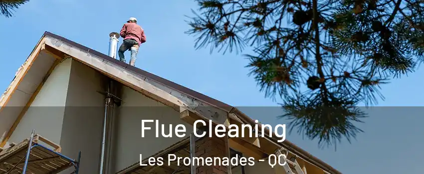  Flue Cleaning Les Promenades - QC