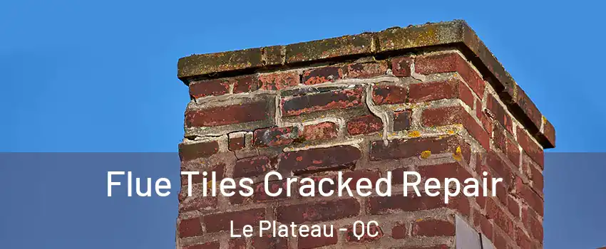  Flue Tiles Cracked Repair Le Plateau - QC