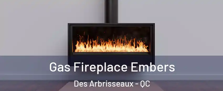  Gas Fireplace Embers Des Arbrisseaux - QC