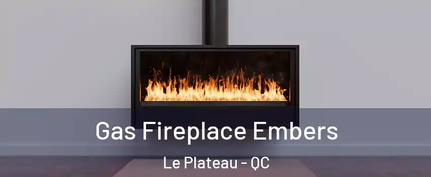  Gas Fireplace Embers Le Plateau - QC
