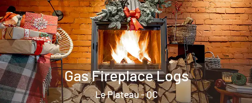  Gas Fireplace Logs Le Plateau - QC