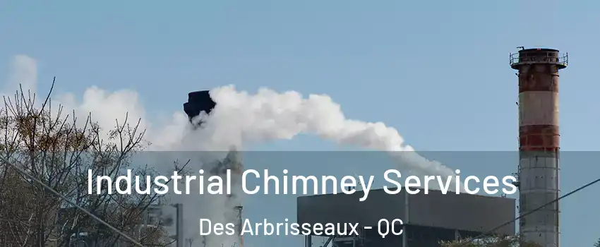  Industrial Chimney Services Des Arbrisseaux - QC