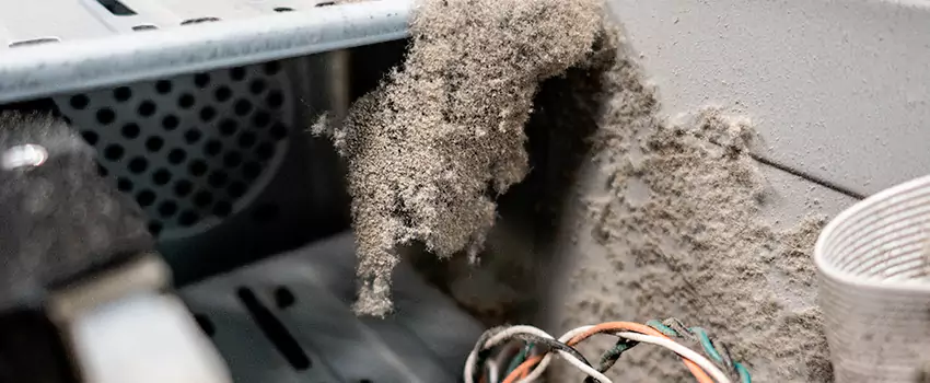 Clogged Dryer Vent Lint Cleaning in Beloeil, Quebec