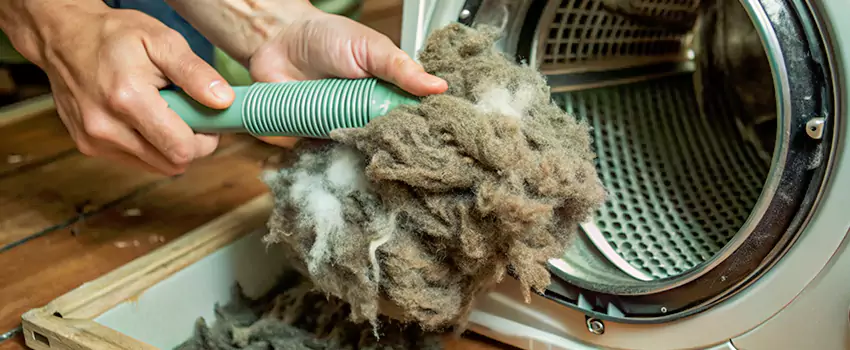 Best Dryer Lint Removal Company in Beloeil, Quebec