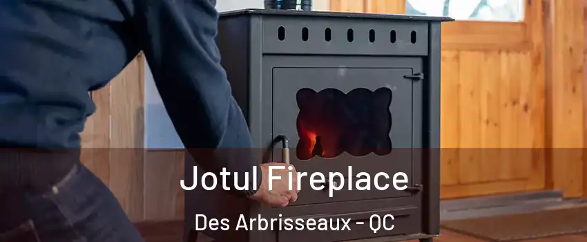  Jotul Fireplace Des Arbrisseaux - QC