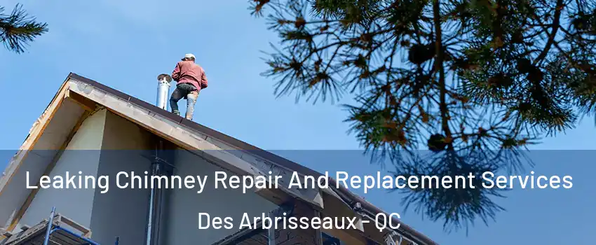  Leaking Chimney Repair And Replacement Services Des Arbrisseaux - QC