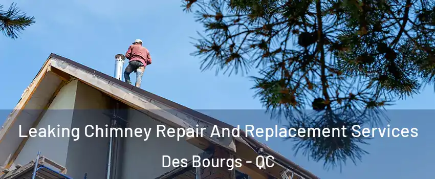  Leaking Chimney Repair And Replacement Services Des Bourgs - QC