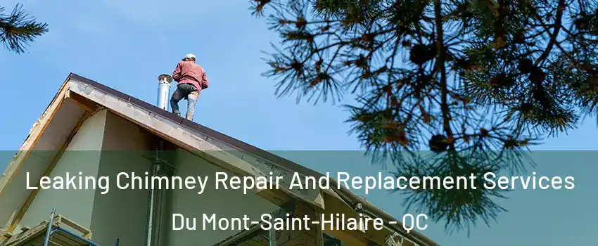  Leaking Chimney Repair And Replacement Services Du Mont-Saint-Hilaire - QC