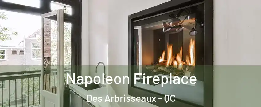  Napoleon Fireplace Des Arbrisseaux - QC
