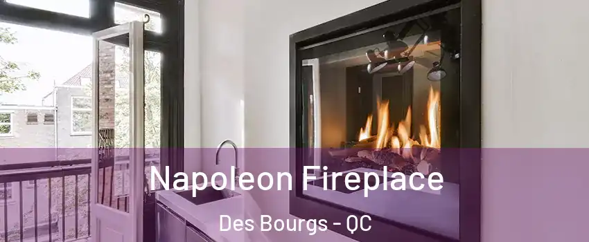  Napoleon Fireplace Des Bourgs - QC