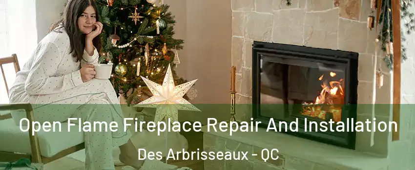  Open Flame Fireplace Repair And Installation Des Arbrisseaux - QC
