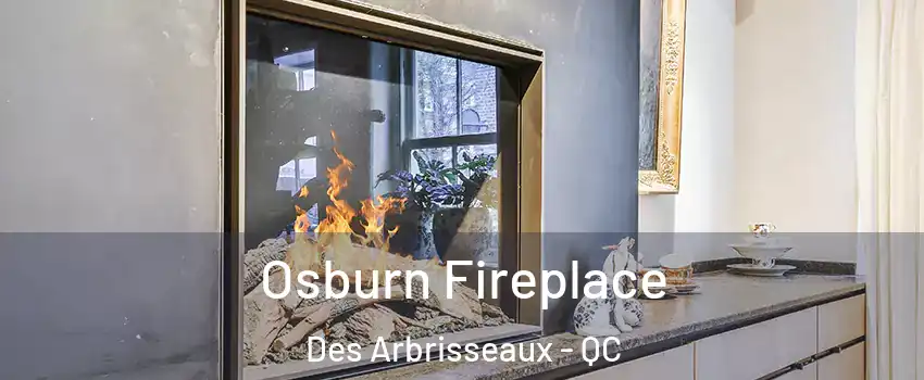  Osburn Fireplace Des Arbrisseaux - QC