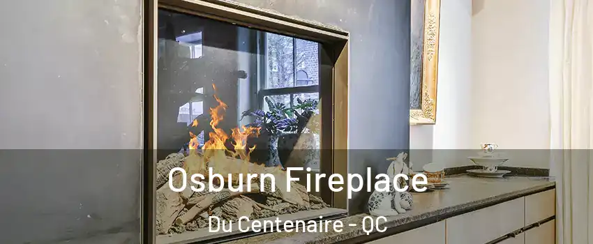  Osburn Fireplace Du Centenaire - QC