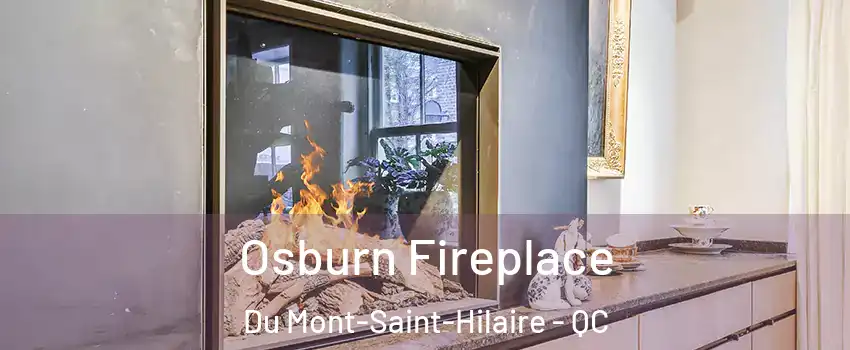  Osburn Fireplace Du Mont-Saint-Hilaire - QC