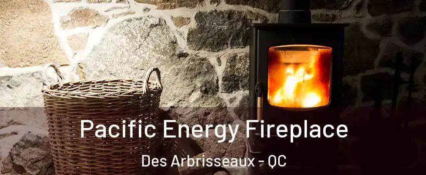  Pacific Energy Fireplace Des Arbrisseaux - QC