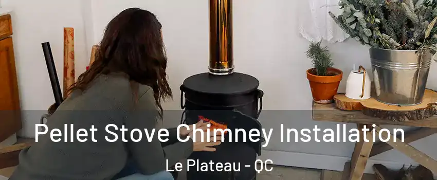  Pellet Stove Chimney Installation Le Plateau - QC