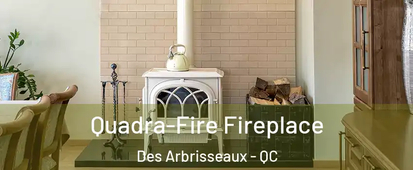  Quadra-Fire Fireplace Des Arbrisseaux - QC