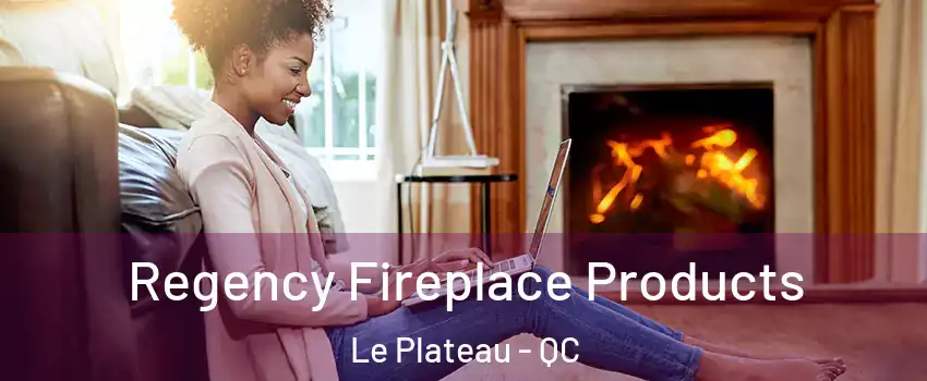  Regency Fireplace Products Le Plateau - QC