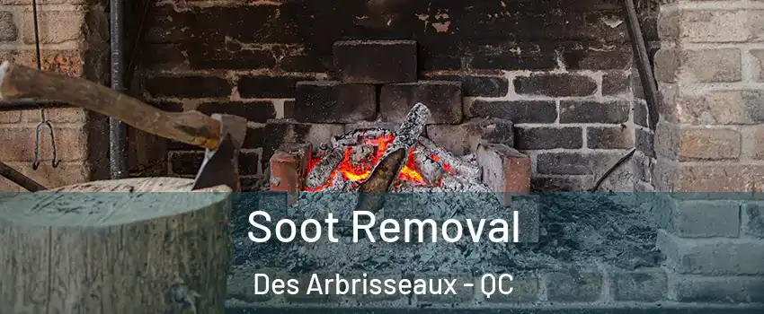  Soot Removal Des Arbrisseaux - QC