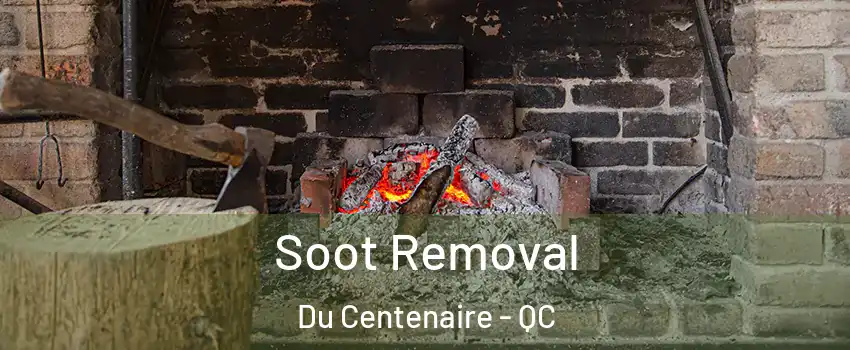  Soot Removal Du Centenaire - QC