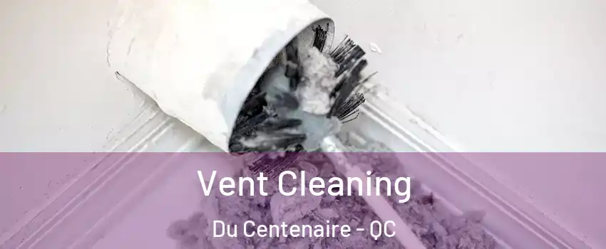  Vent Cleaning Du Centenaire - QC