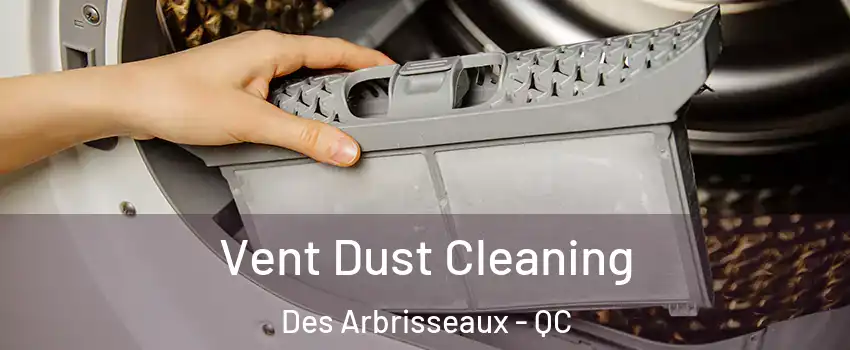  Vent Dust Cleaning Des Arbrisseaux - QC