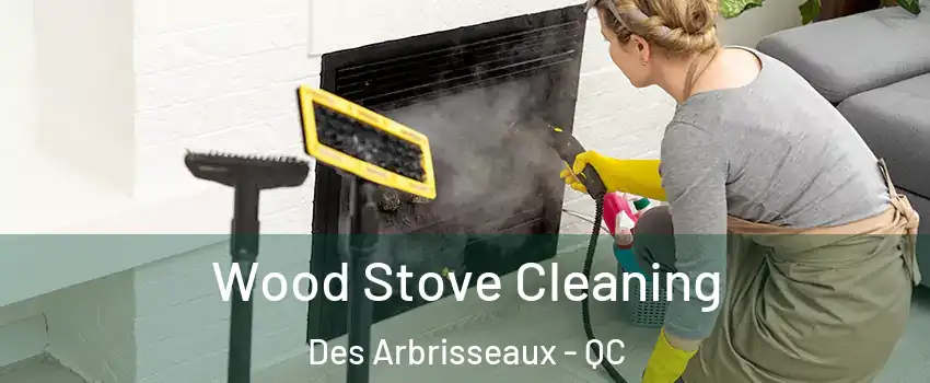  Wood Stove Cleaning Des Arbrisseaux - QC