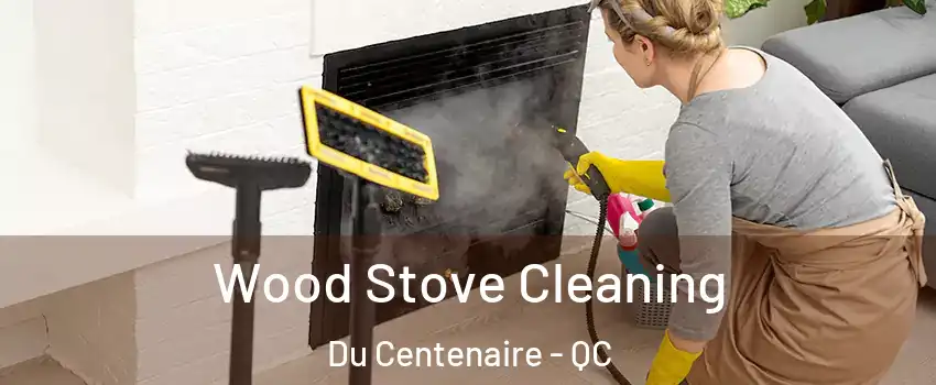  Wood Stove Cleaning Du Centenaire - QC
